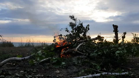 Bonfire Video stock 136474367