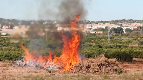 Bonfire 库存影片 141043364