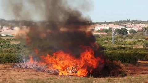 Bonfire 库存影片 141044133