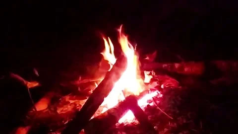 Bonfire Stock Footage 143481760