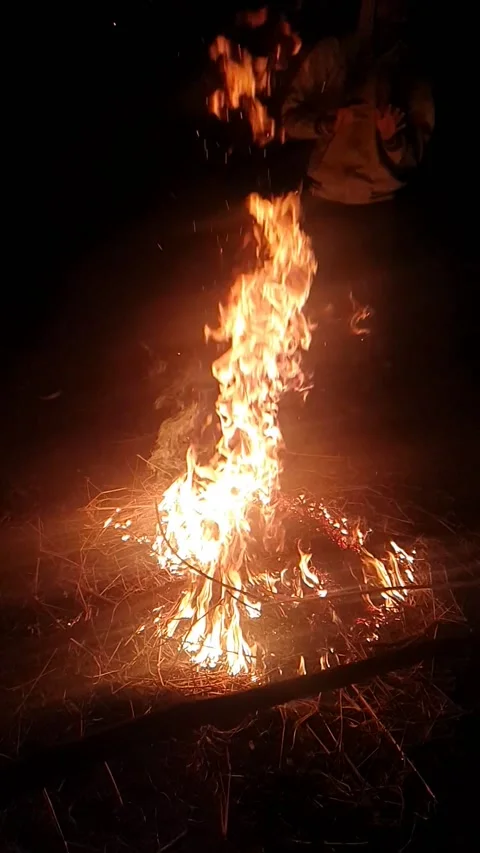 Bonfire Video stock 144942141