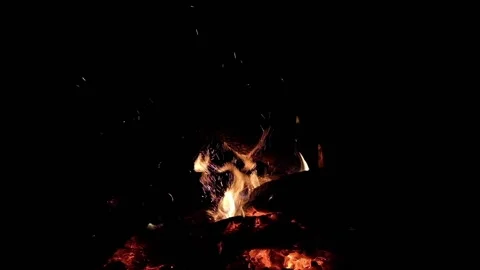 Bonfire Stock Footage 155453155