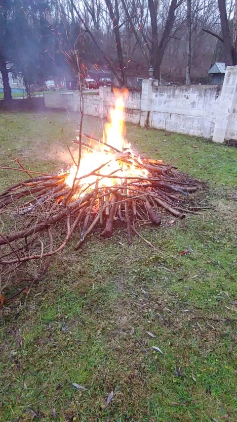 Bonfire Video stock 157244991