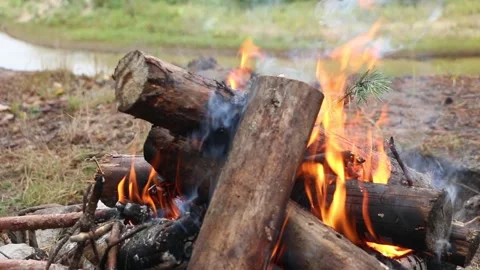 A bonfire Video stock 161549429