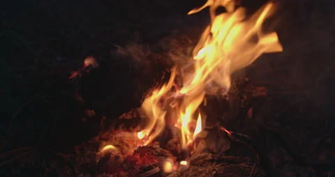 Bonfire Stock Footage 164484098