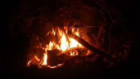 Bonfire Stock Footage 167761815