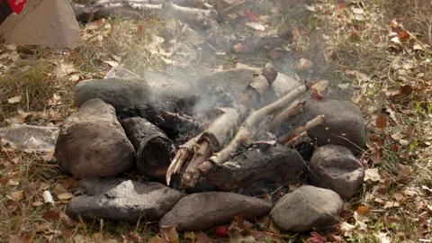Bonfire Видео 169748096
