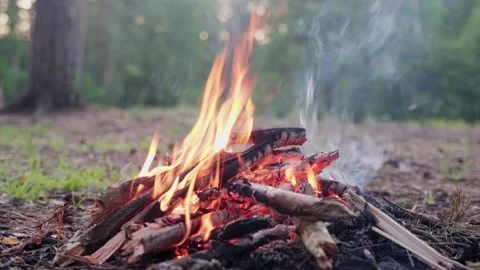 Bonfire Stock Footage 198512294