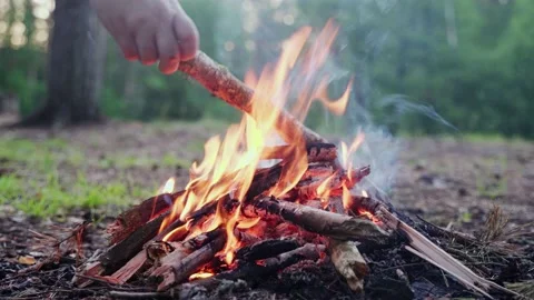 Bonfire Stock Footage 198512365