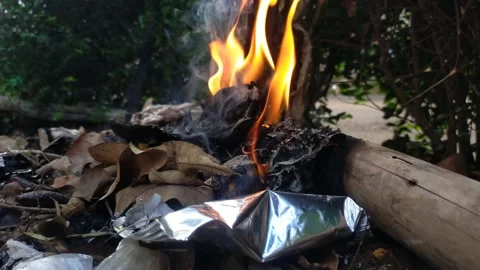 Bonfire Stock Footage 209135212