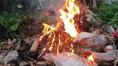 Bonfire Stock Footage 235533423