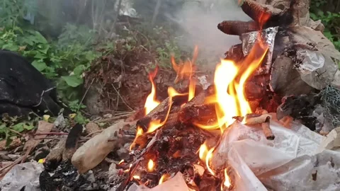 Bonfire Video stock 235533466