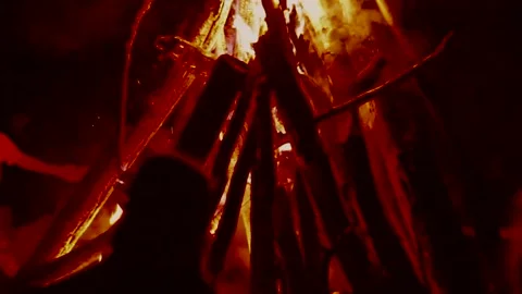 Bonfire Stock Footage 261844006