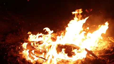 Bonfire Video stock 269991801