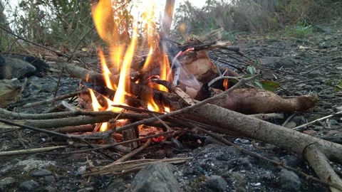 Bonfire Stock Footage 285358975