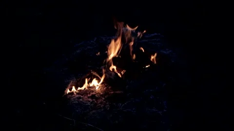 Bonfire Video stock 287754584