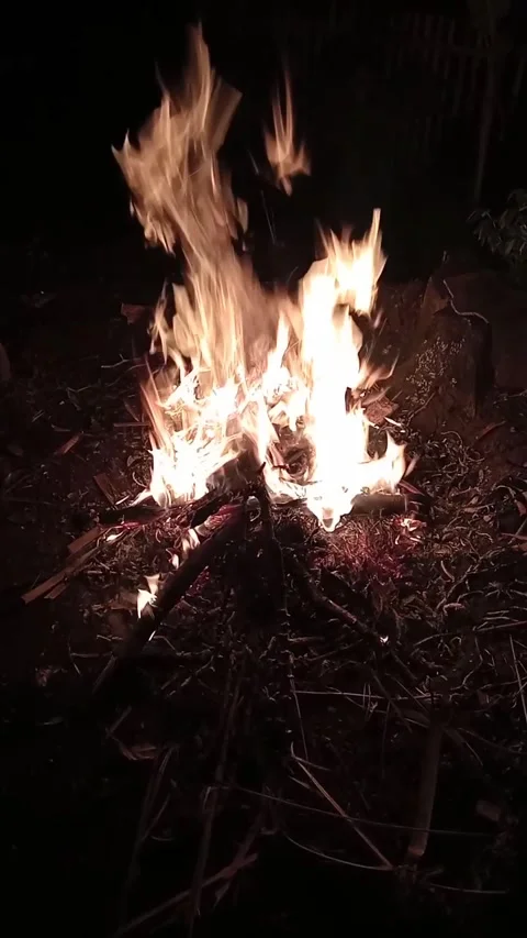 Bonfire Video stock 318536216