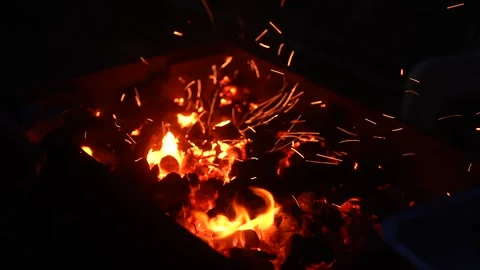Bonfire Stock Footage 323009897