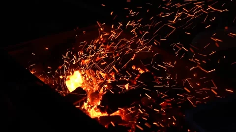 Bonfire Stock Footage 323009899