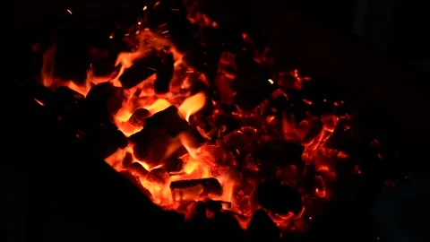 Bonfire Stock Footage 323011226