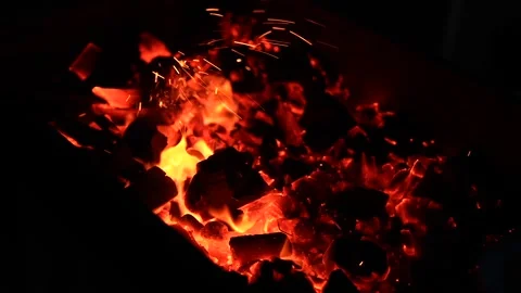 Bonfire Stock Footage 323011232