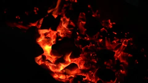 Bonfire Stock Footage 323011381
