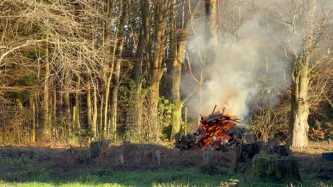 Bonfire Stock Footage 328322046