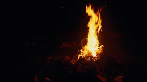 Bonfire in forest. Big fire in fireplace at night. Slow motion. Nobody Stock Footage 198186769
