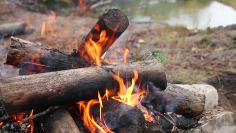 Bonfire in  forest for camping. Video stock 161621794