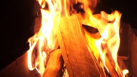 Bonfire in forest close up Stock Footage 87129774