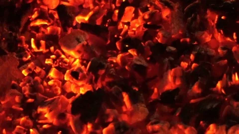 Bonfire in forest close up Stock Footage 87129797