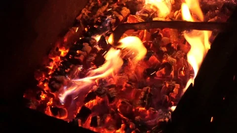 Bonfire in forest close up Stock Footage 87129909