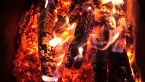 Bonfire in forest close up Stock Footage 87129930