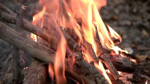 Bonfire in forest close up Stock Footage 103106702
