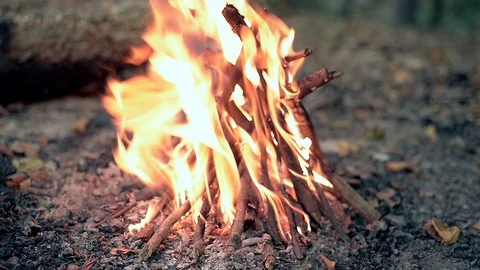 Bonfire in forest close up Stock Footage 103106737