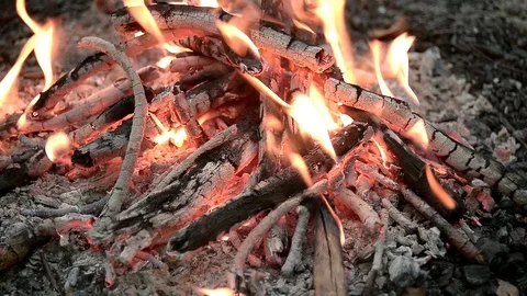 Bonfire in forest close up Stock Footage 103106795