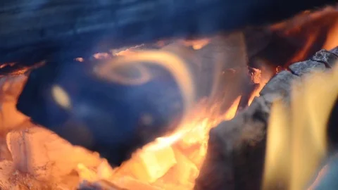 Bonfire in forest close up Stock Footage 106205765