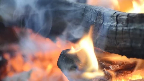 Bonfire in forest close up Stock Footage 106205780
