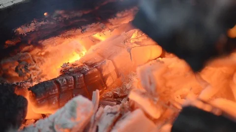 Bonfire in forest close up Stock Footage 106205802