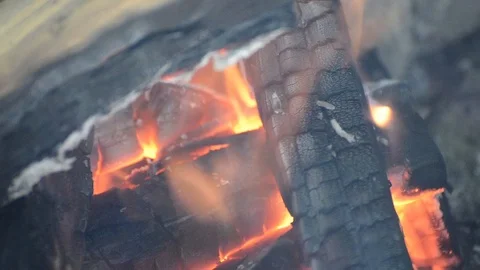 Bonfire in forest close up Stock Footage 106205804