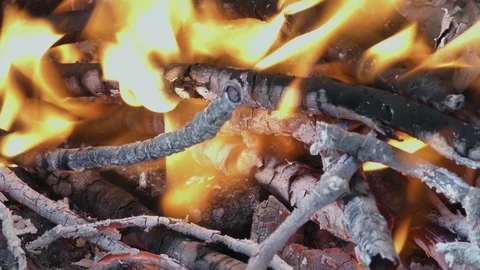 Bonfire in forest close up Stock Footage 121030605