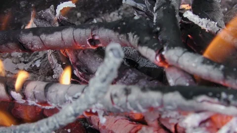 Bonfire in forest close up Stock Footage 121031456