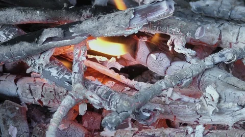 Bonfire in forest close up Stock Footage 121032275