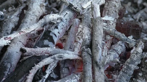 Bonfire in forest close up Stock Footage 121032404