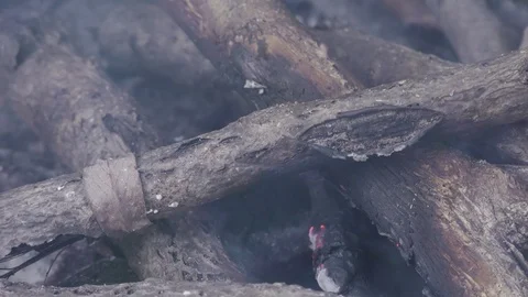 Bonfire in forest close up Stock Footage 121032827