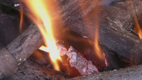 Bonfire in forest close up Stock Footage 121033343