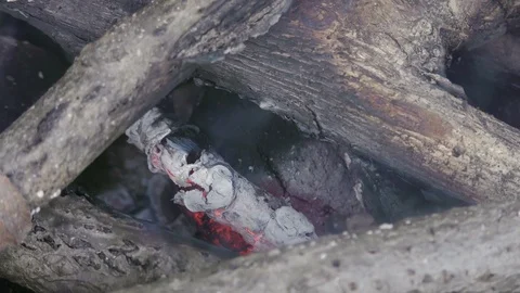 Bonfire in forest close up Stock Footage 121033648