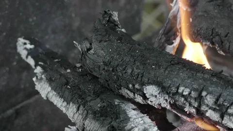 Bonfire in forest close up Stock Footage 121033989