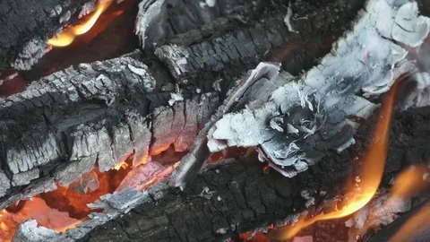 Bonfire in forest close up Stock Footage 121034175