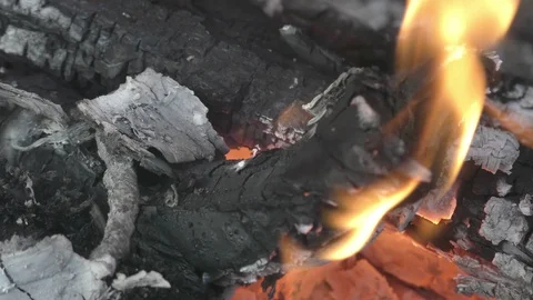 Bonfire in forest close up Stock Footage 121034380